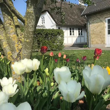 Guest house Staevnegaarden