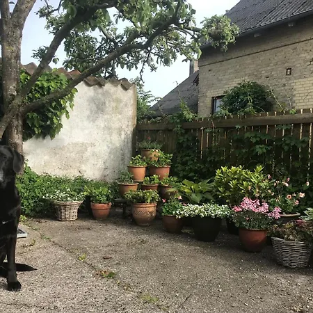 Guest house Staevnegaarden Flodstrup