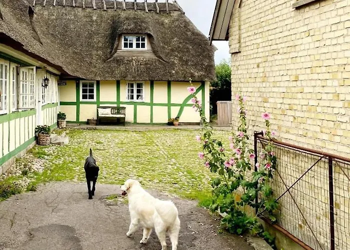 Staevnegaarden