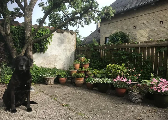 Pensión Staevnegaarden Flødstrup